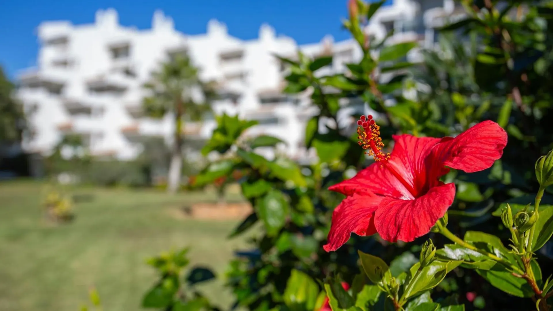 Cherry Garden Apartment Sitio de Calahonda